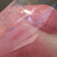 Cock Milking