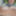 Kiwi Free Photos