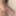 Cock