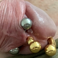 piercing prince albert