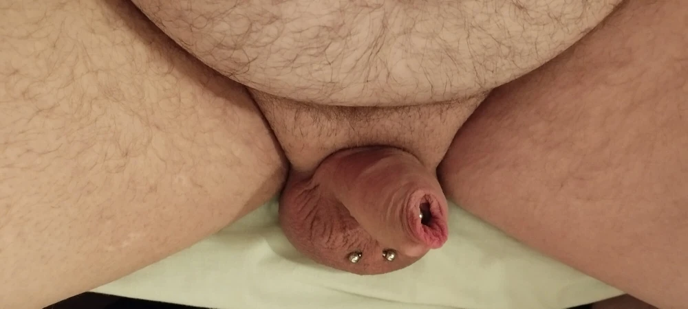 Small dicked chubby 
