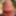 Outdoor Nature Big Cock