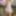 Day Porn Lays 01