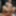 Boxenluder will gefickt werden