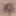 LOktober 22, 2024 Daily duty of the naked slave #5
