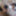 Nerd stepsis wanna play adult games with creampie ending #21