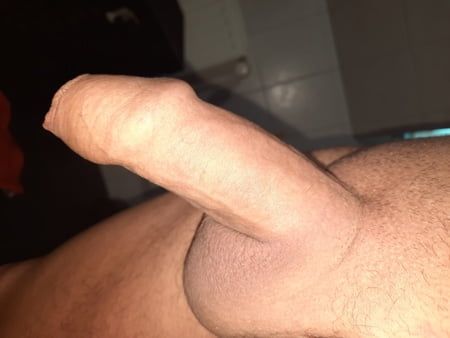 Horny cock 