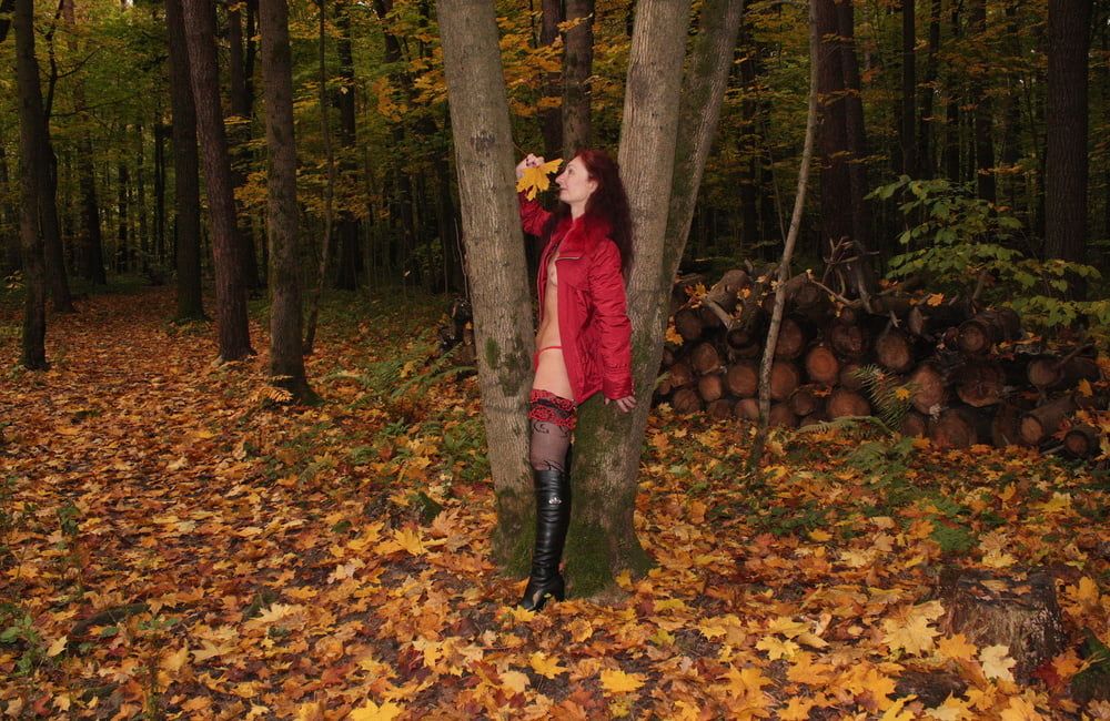 Red Autumn 5 #7