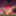 JOEYSTRANSFEETGIRLS: Sammi Smith&#039;s First Footjob #2