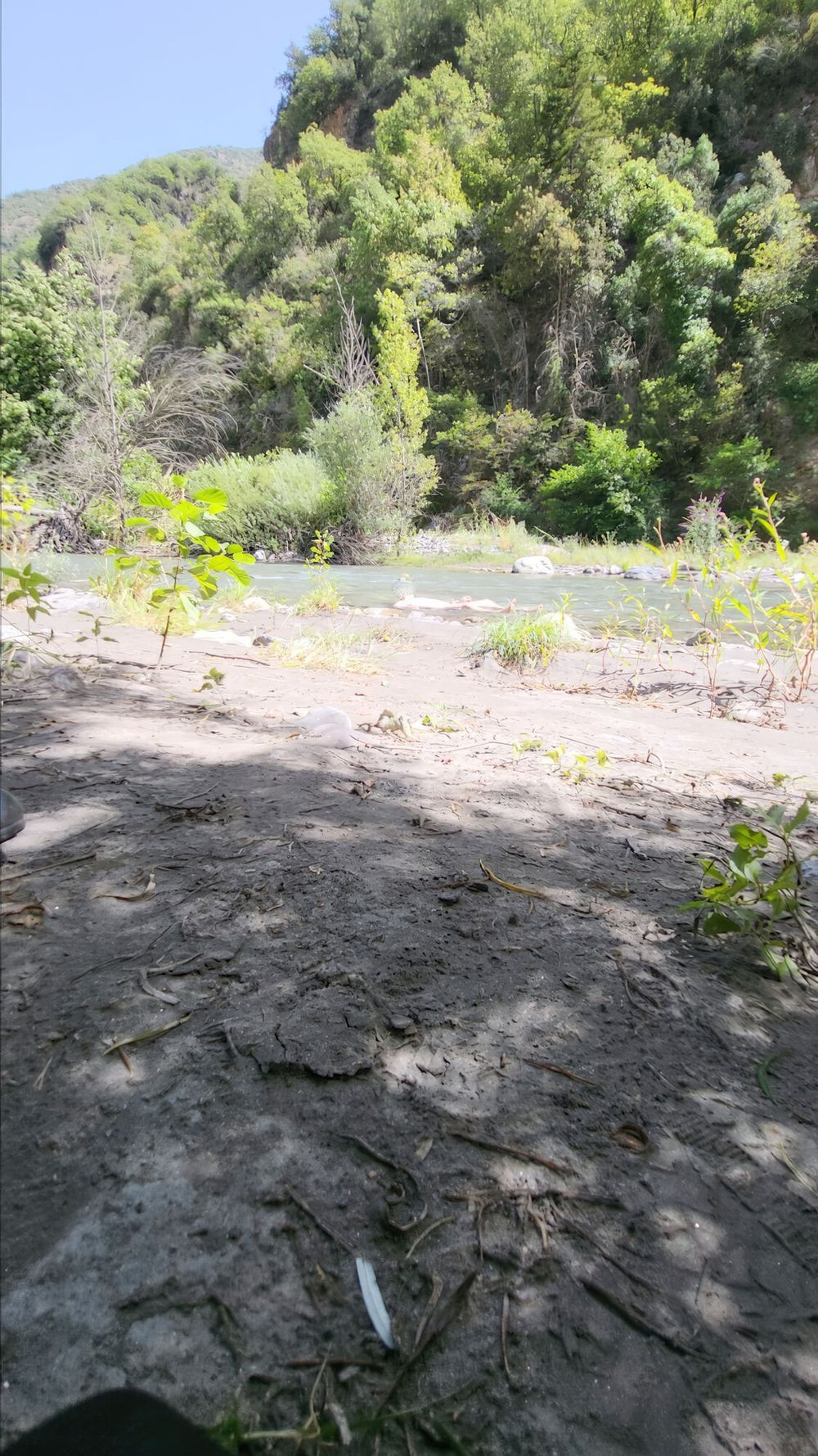 Bathing in creek #16