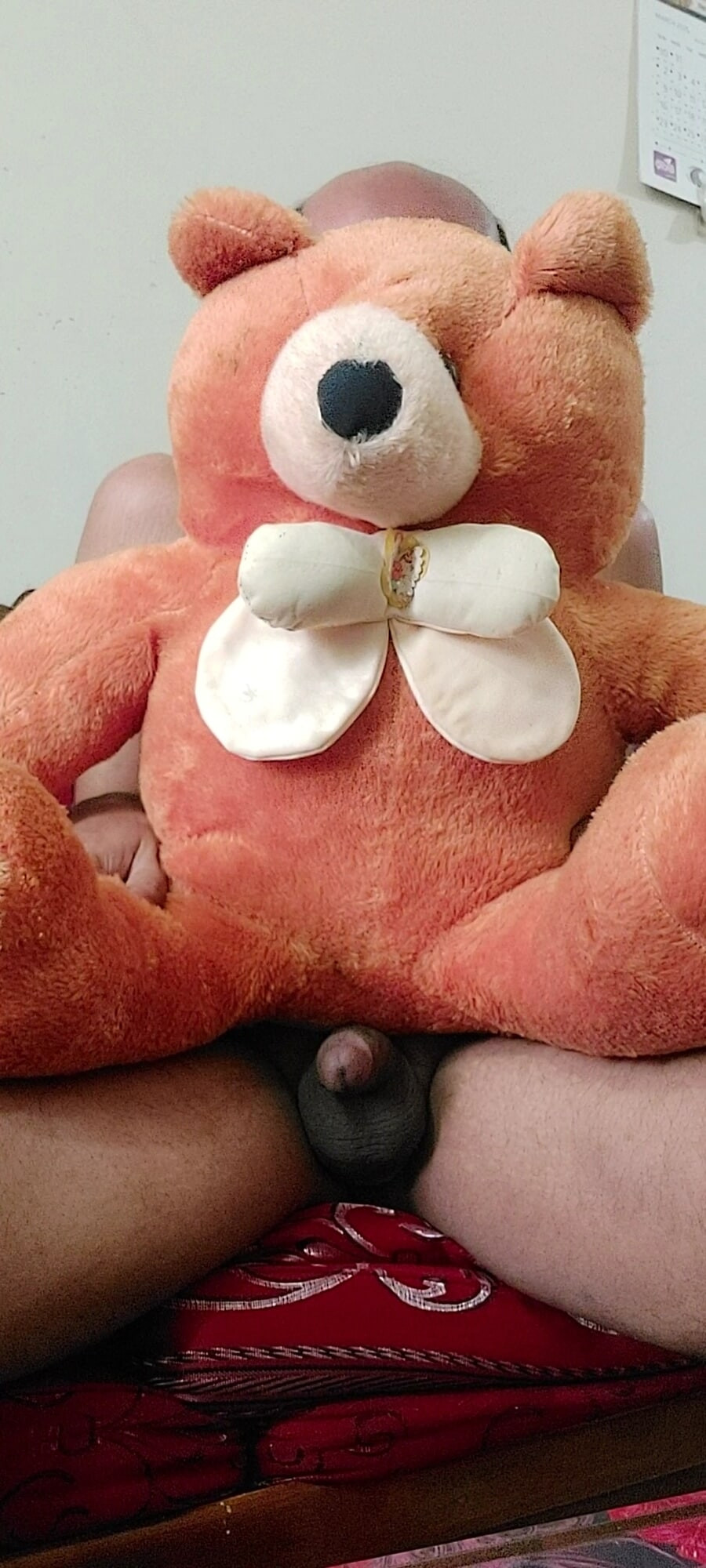 My Teddy bear penis #5