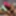 Bisexual students threesome #37