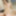 Reina Shiraishi :: Fall In Love - CARIBBEANCOM #11