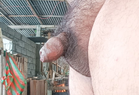 Erotic Photos for my Birthday - 4 (My flaccid penis)