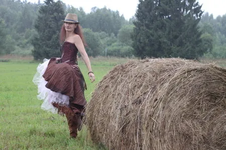 rainy day in field           