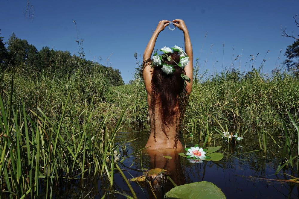  In Pond with Waterflowers 2 #38