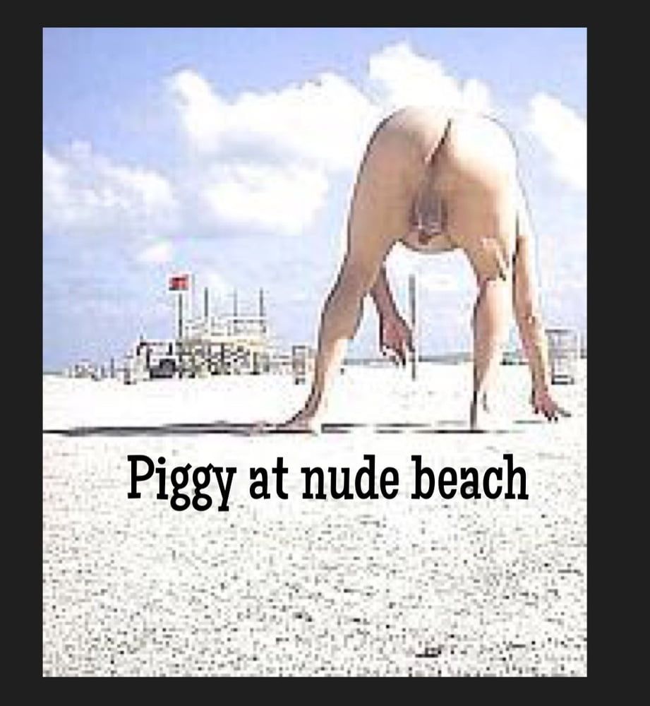 Piggy at nude beach