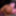 4k Step Family Fauxcest! My Step Daughter Eagerly Rough Ride