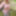 Amateur Crossdresser Kellycd2022 sexy milf in stockings  #46
