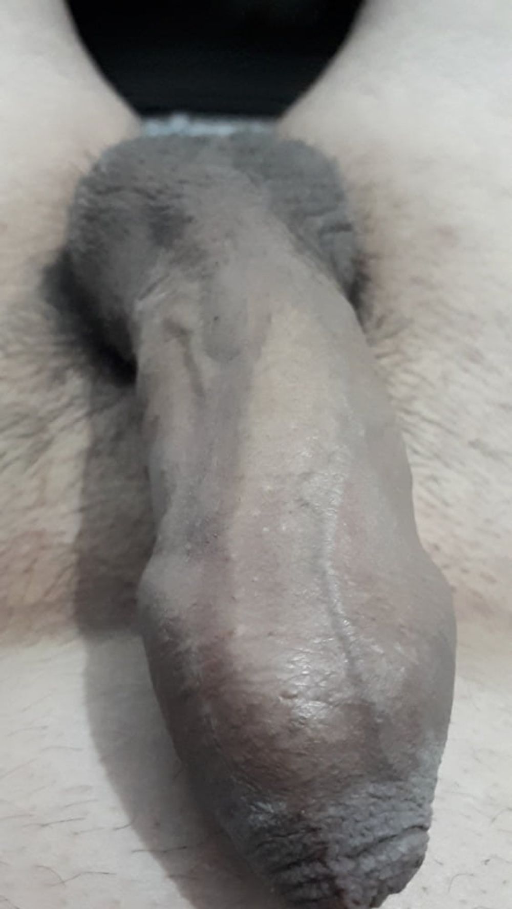 Super Cock #19