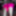 La Whore Maria Fluorescent pink hot #19