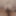 Screenshots from our New ssbbw clip #7