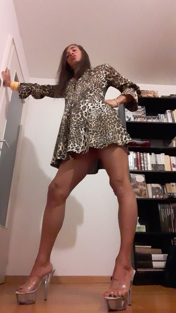 Sissy Tygra in leopard dress on 2019 octobre. #2
