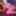 ASIANTGIRL: Cheerleader Naomi Is Playing For You!
