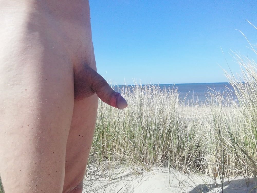Nude walking in the Dutch dunes #4
