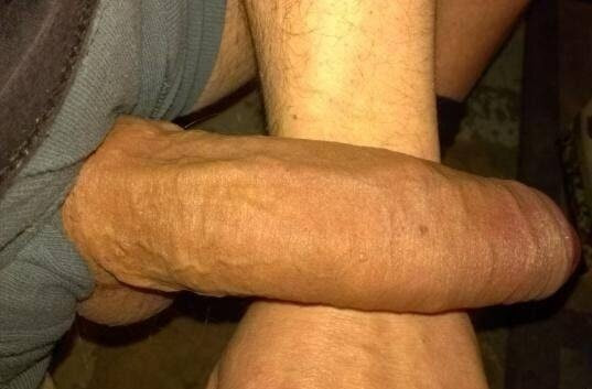 polla crece 23cm 2.0 #8