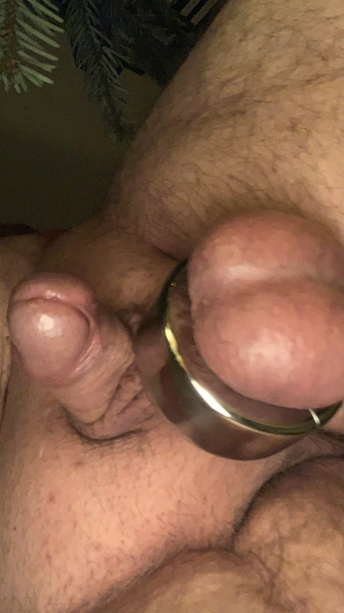 Cock Collection  #6