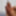 October 2017 Cock #44