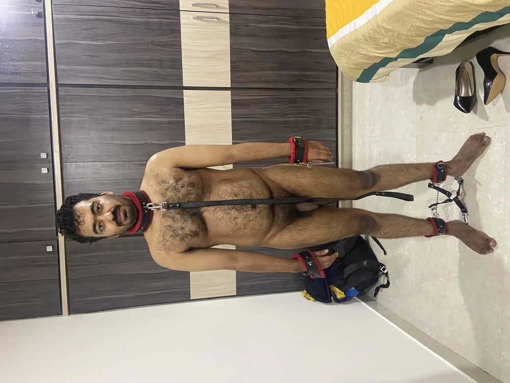 Male slave dog for women.  #5