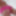 Mon cul en lingeries coquine  #14
