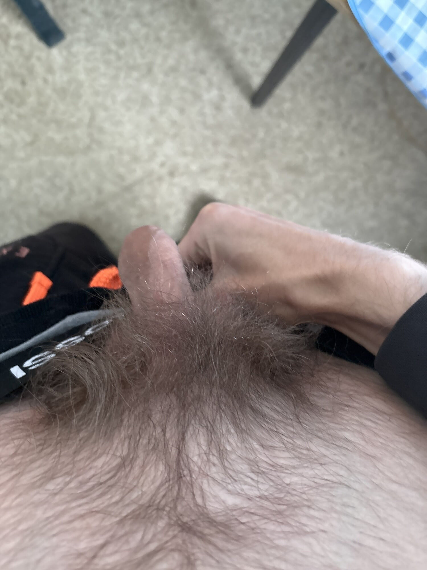 Penis Bild 