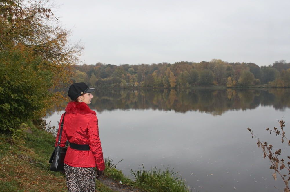 red jacket and yellow leaves #14