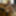 only fans preview