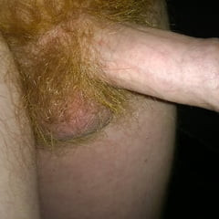 My Red Bush Dick