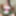 Girls First Sybian - Misty Lovelace Oktoberfest 