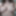 Xhamster Fan gets a tribute