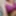 Desi Wife Naked in bathroom