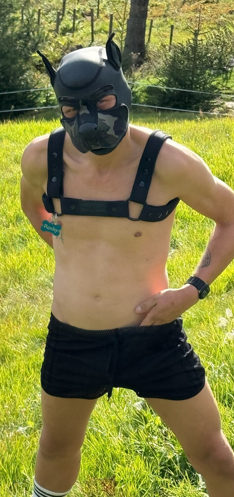 A great day on the alpine pasture