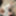 Amateur crossdresser Kellycd2022 sexy milf in stockings  #12