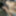 Huge 23cm dick of a very hard hairy male in the gym bathroom #4