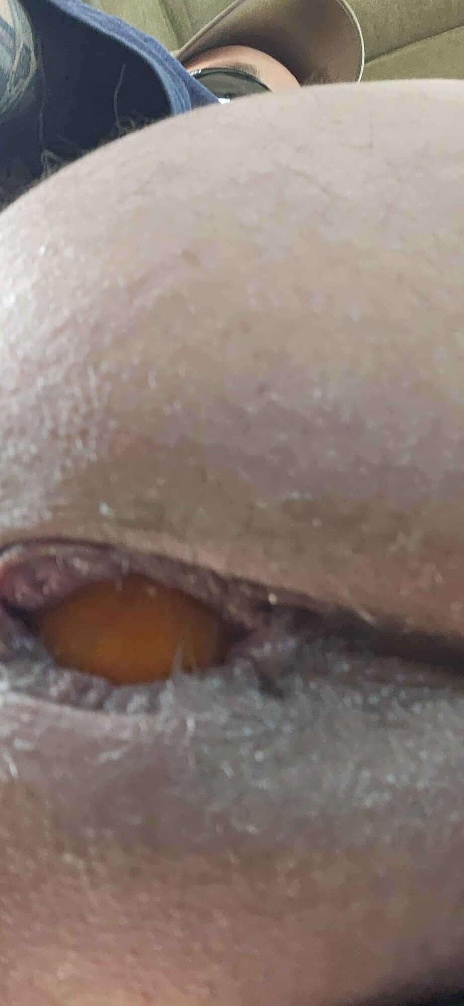 Feeding my asshole with a huge  cucumber  #8