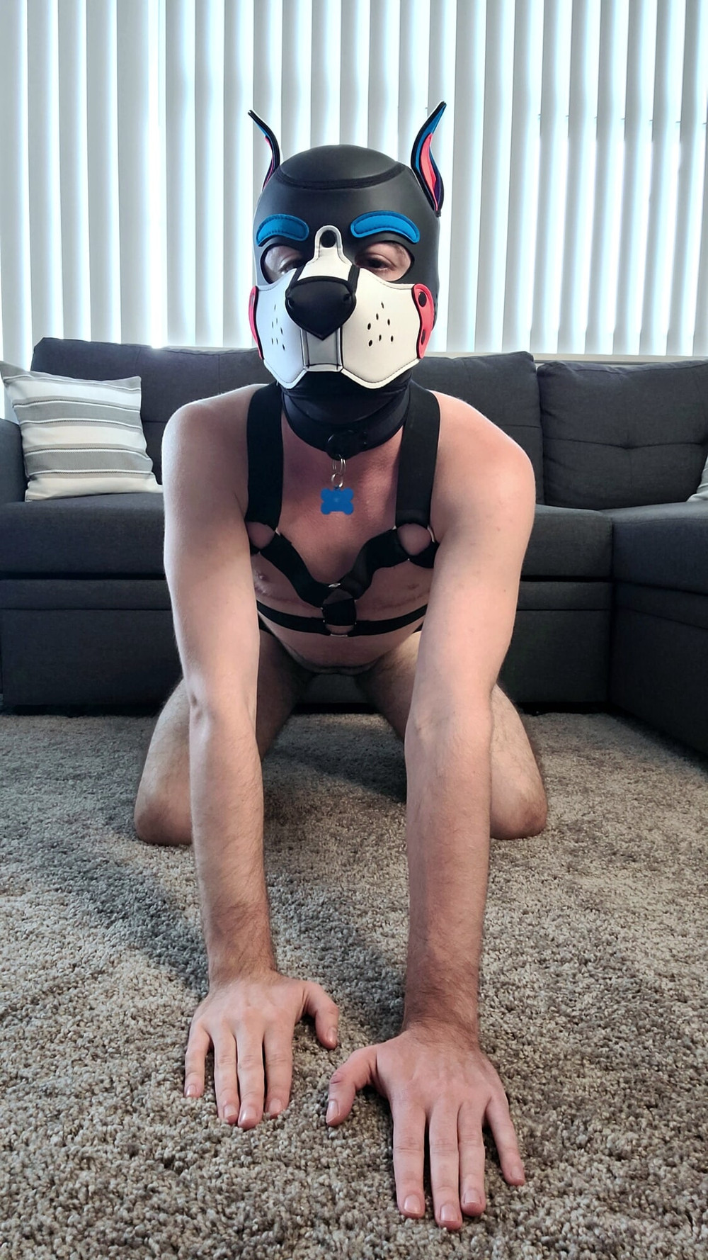 Puppy pic collection #5
