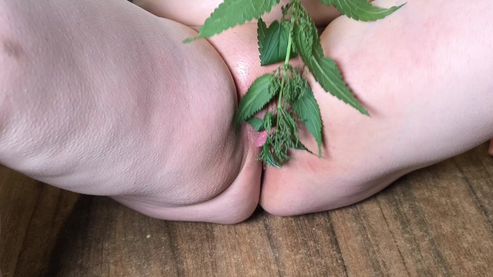 Clamps and nettles pussy torture #14