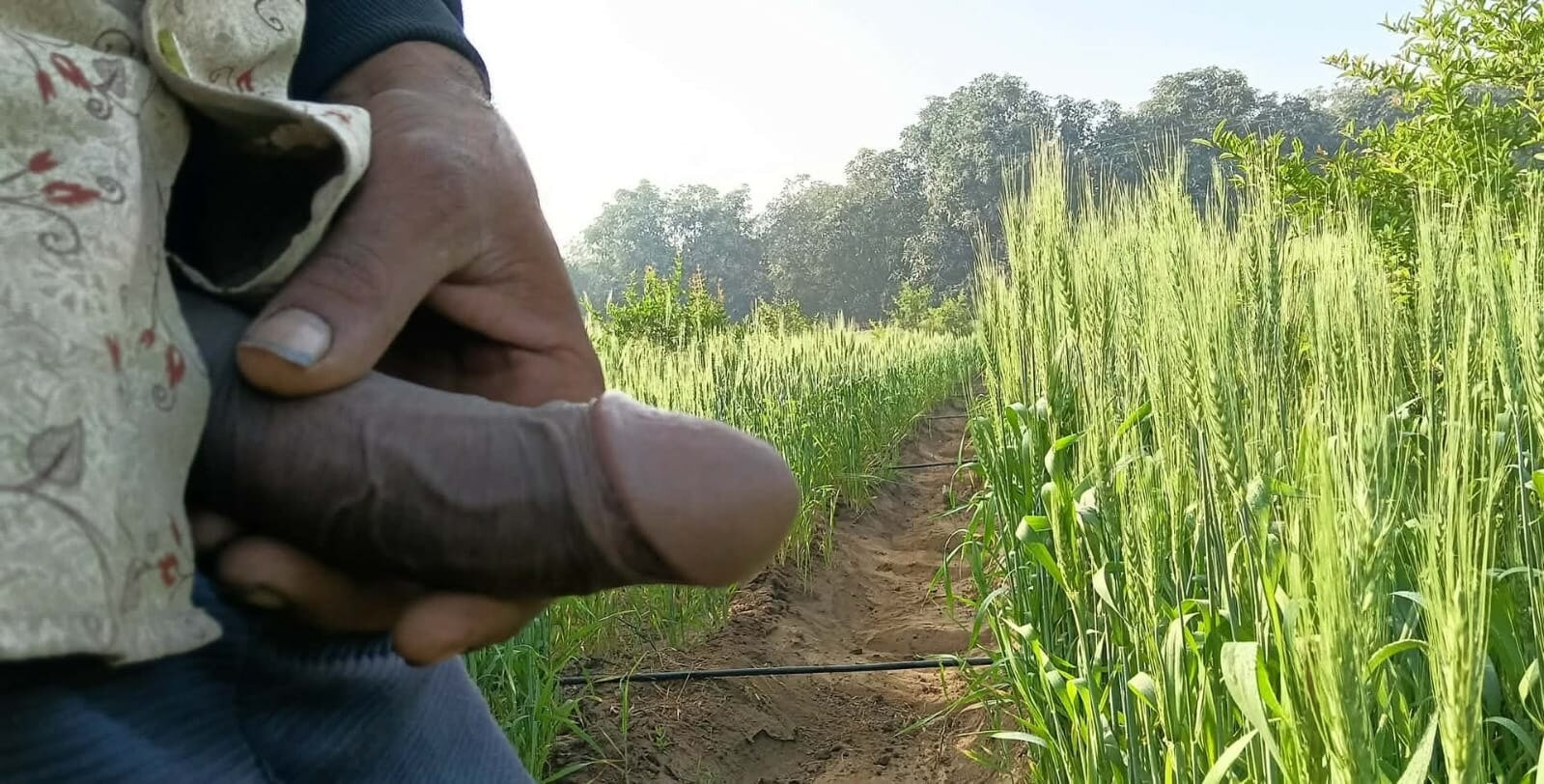 照片