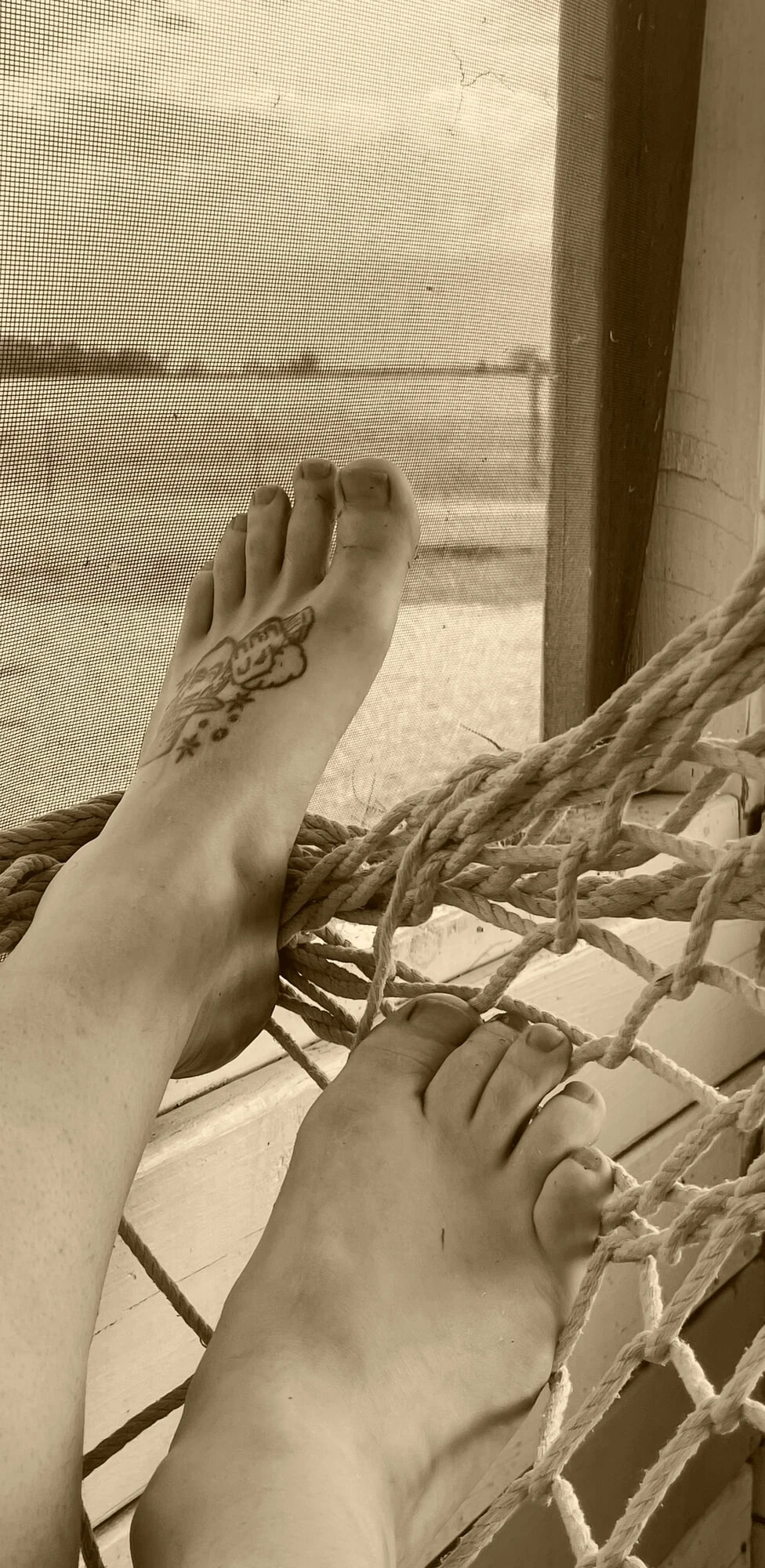 Feet