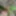 Got punished with nettle (macro photo) #5